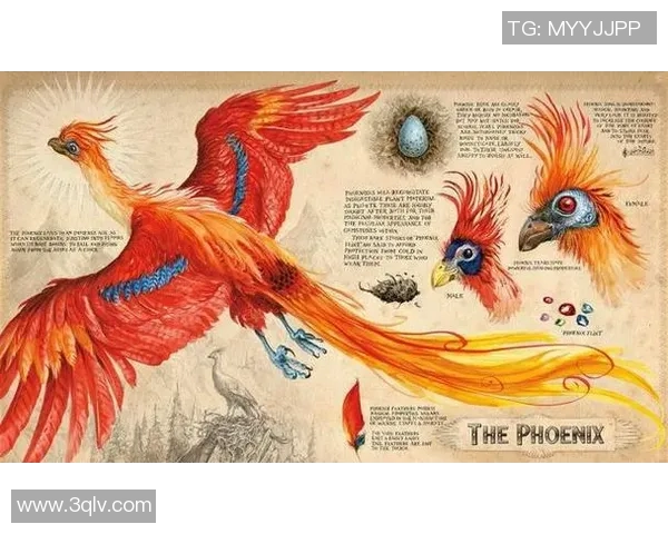 揭秘足球明星号4：一窥球场巨星的闪耀神话